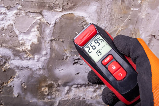 Reliable Missouri City, TX Mold Remediation Solutions